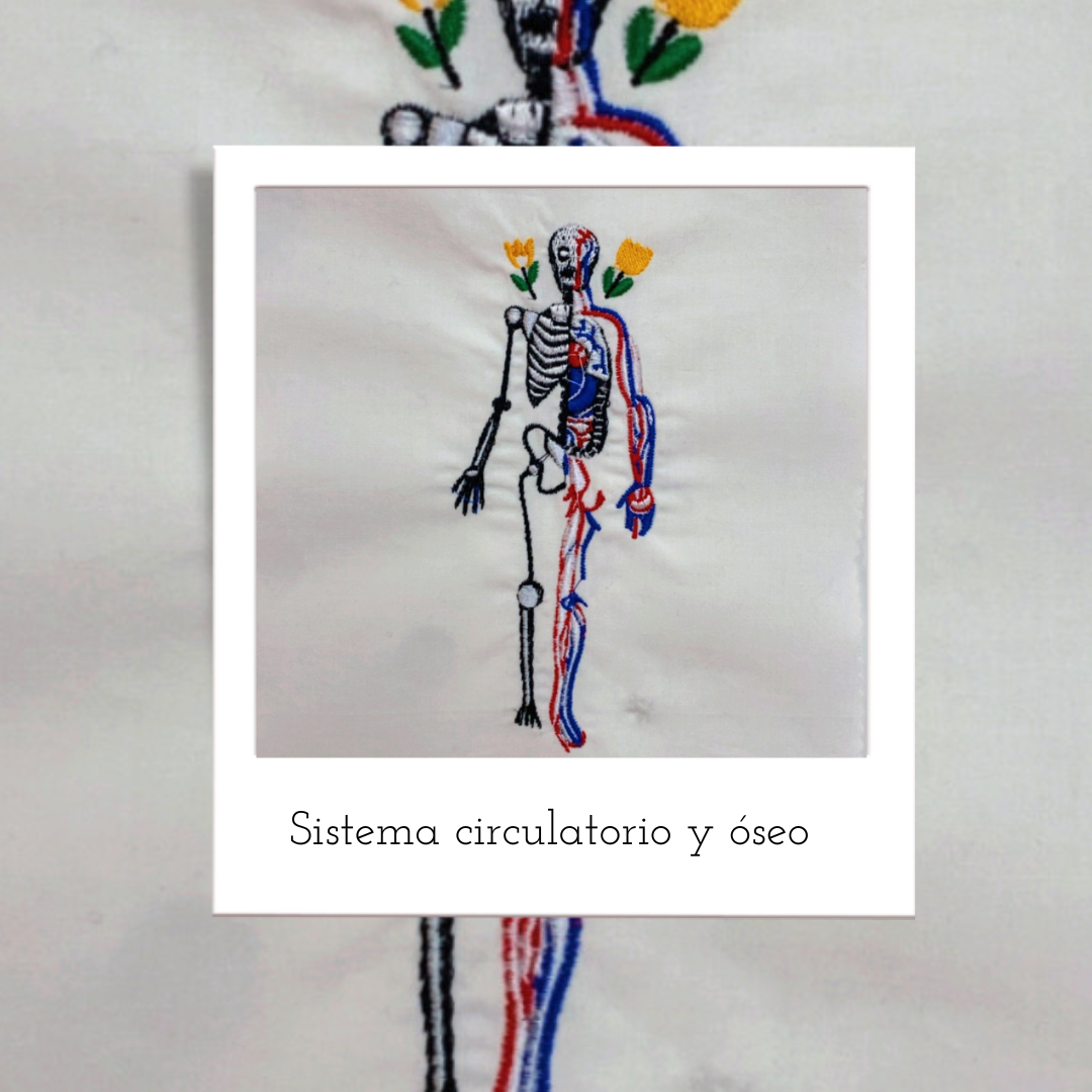cerebro fuerte.zip – 4